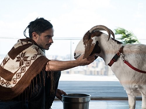 Gael Garc?a Bernal in Моцарт в джунглях (2014)