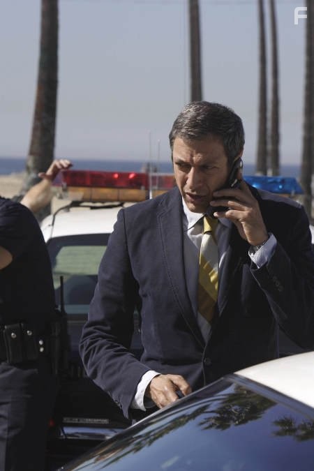 Jeff Goldblum in Детектив Рейнс (2007)