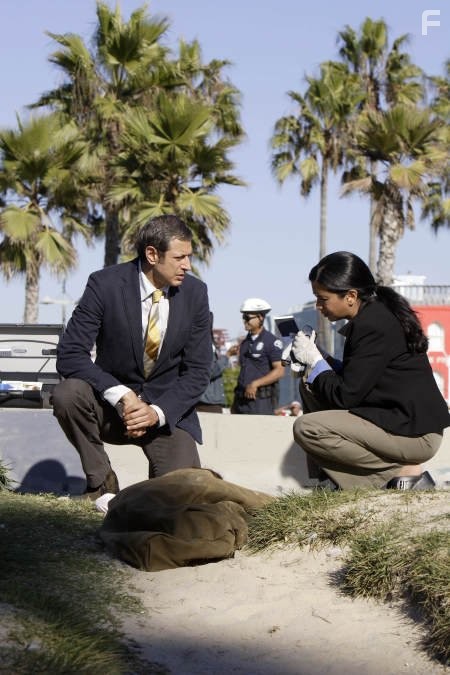 Jeff Goldblum in Детектив Рейнс (2007)