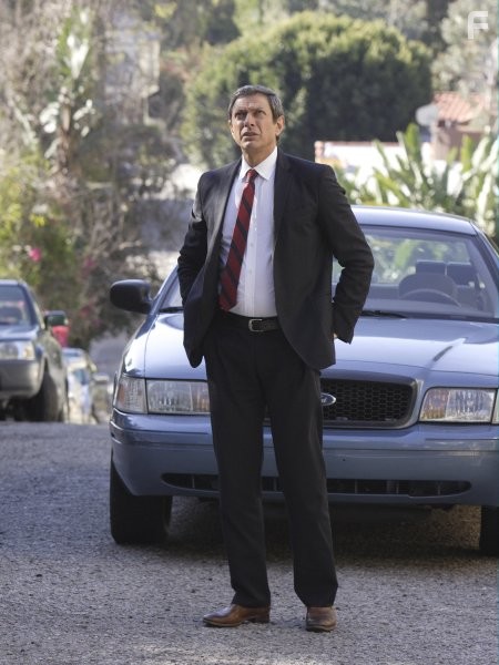 Jeff Goldblum in Детектив Рейнс (2007)