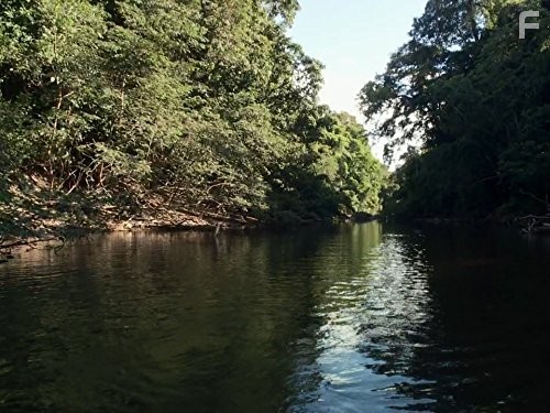 Голые и напуганные (2013)