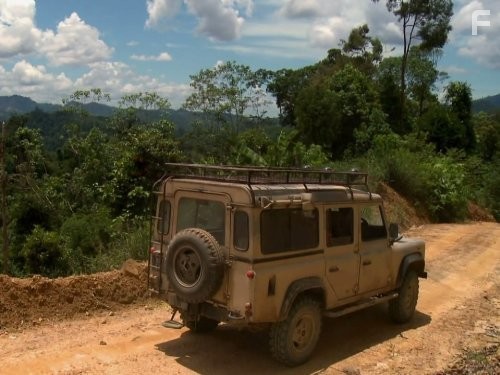 Голые и напуганные (2013)