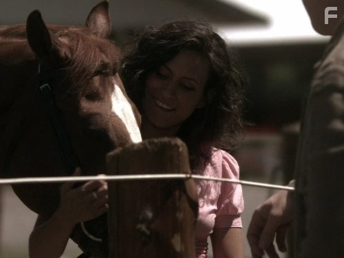 Мертвая зона (2002)