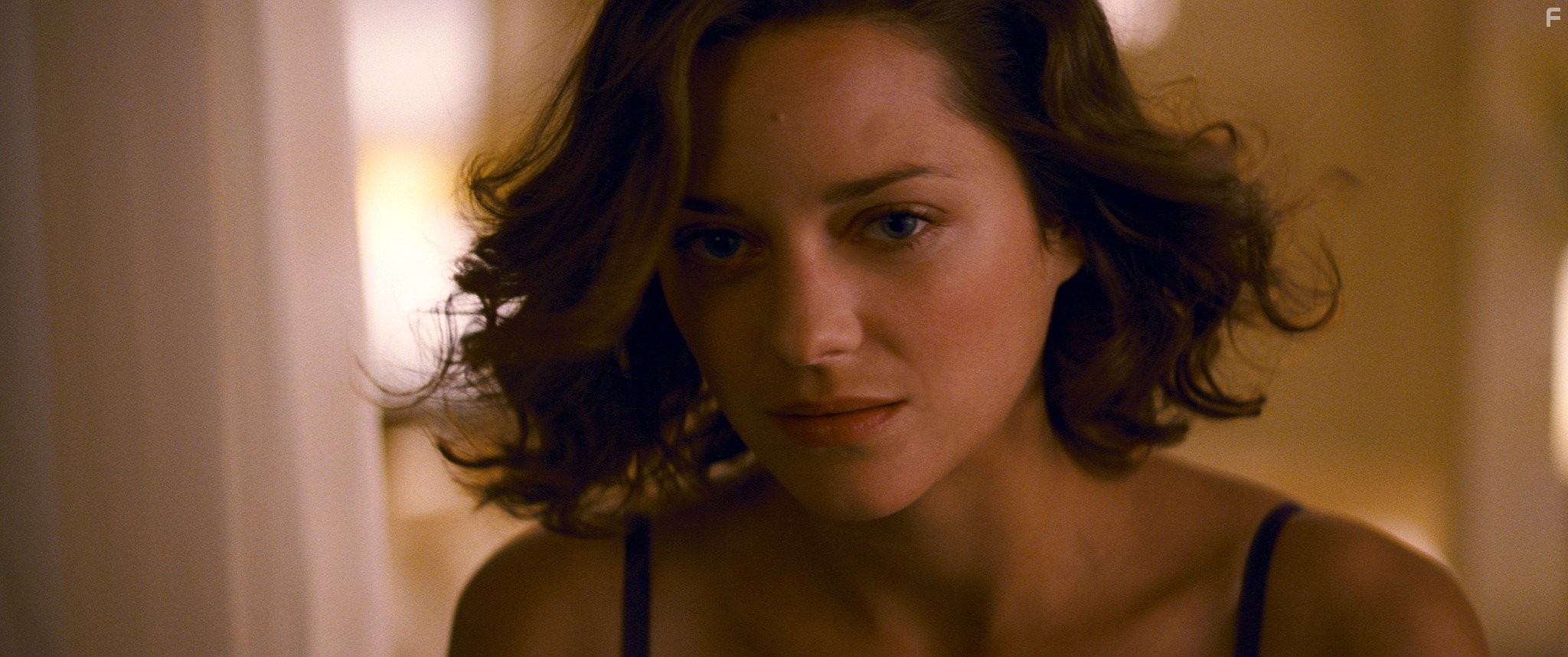 Marion Cotillard in Начало (2010)