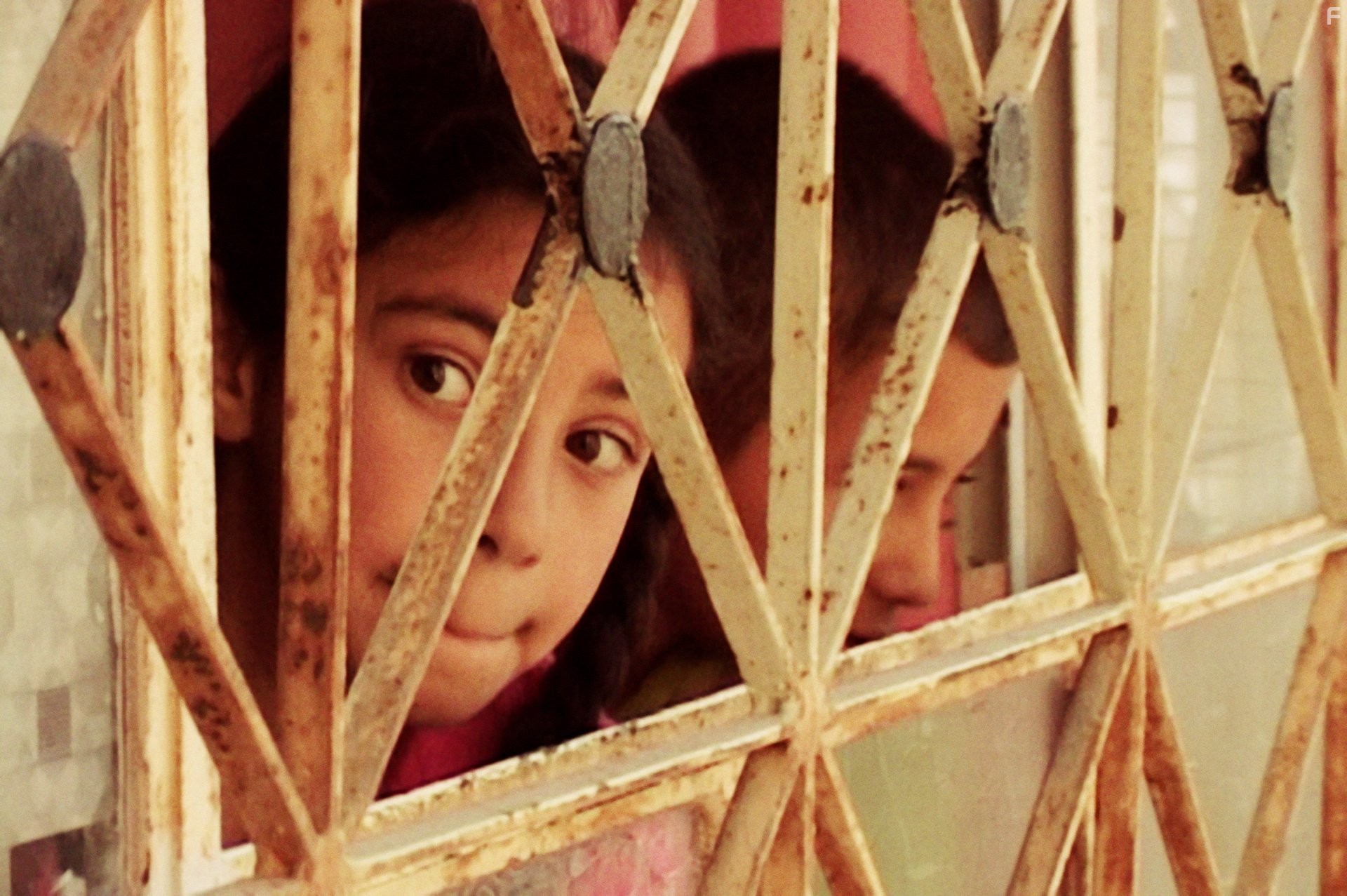 This is My Land... Hebron (2010)