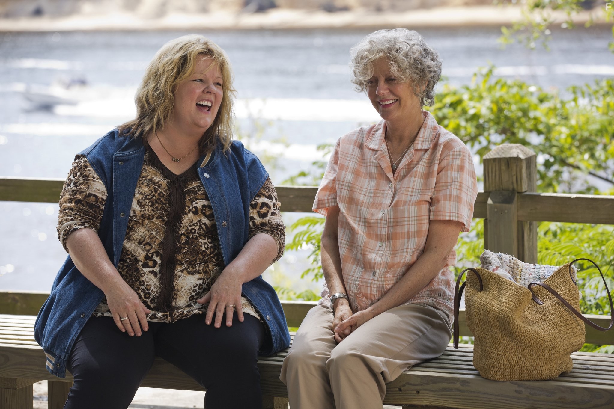 Susan Sarandon and Melissa McCarthy in Тэмми (2014)
