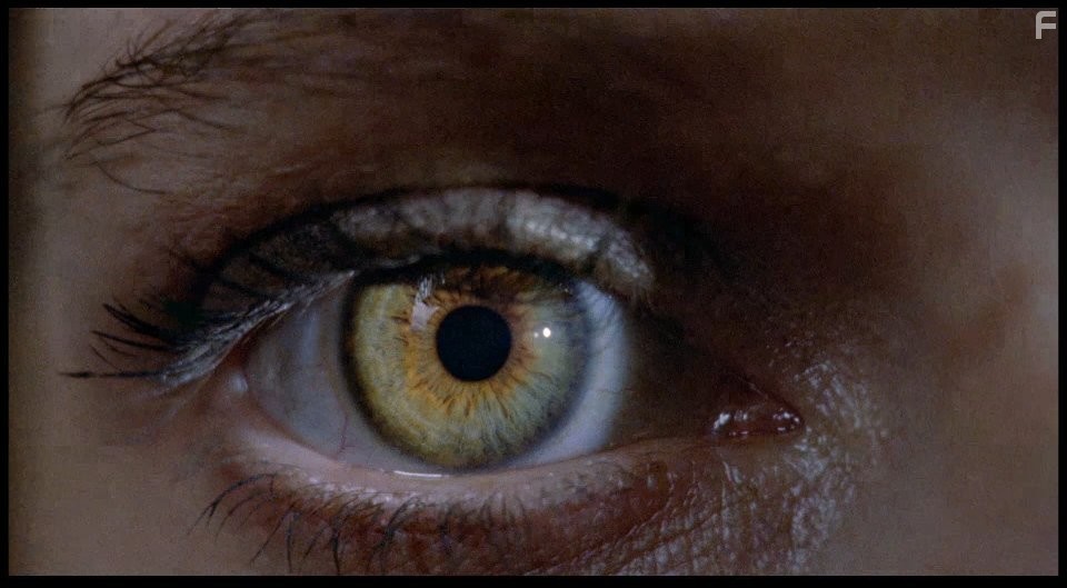 Il profumo della signora in nero (1974)