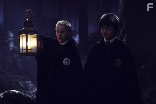 Draco and Harry in the dark forest