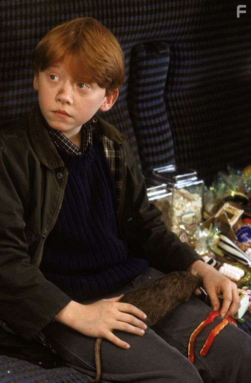 Rupert Grint stars as Ron Weasley