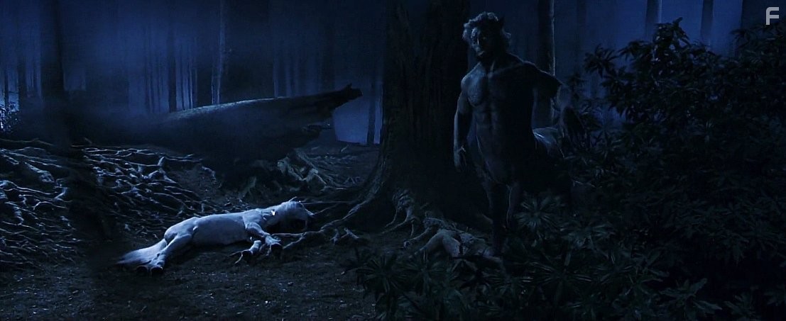 Гарри Поттер и философский камень (2001)