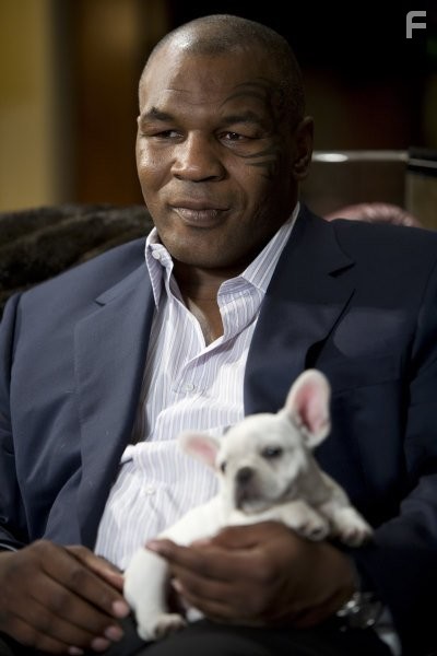 Mike Tyson in Мальчишник в Вегасе (2009)