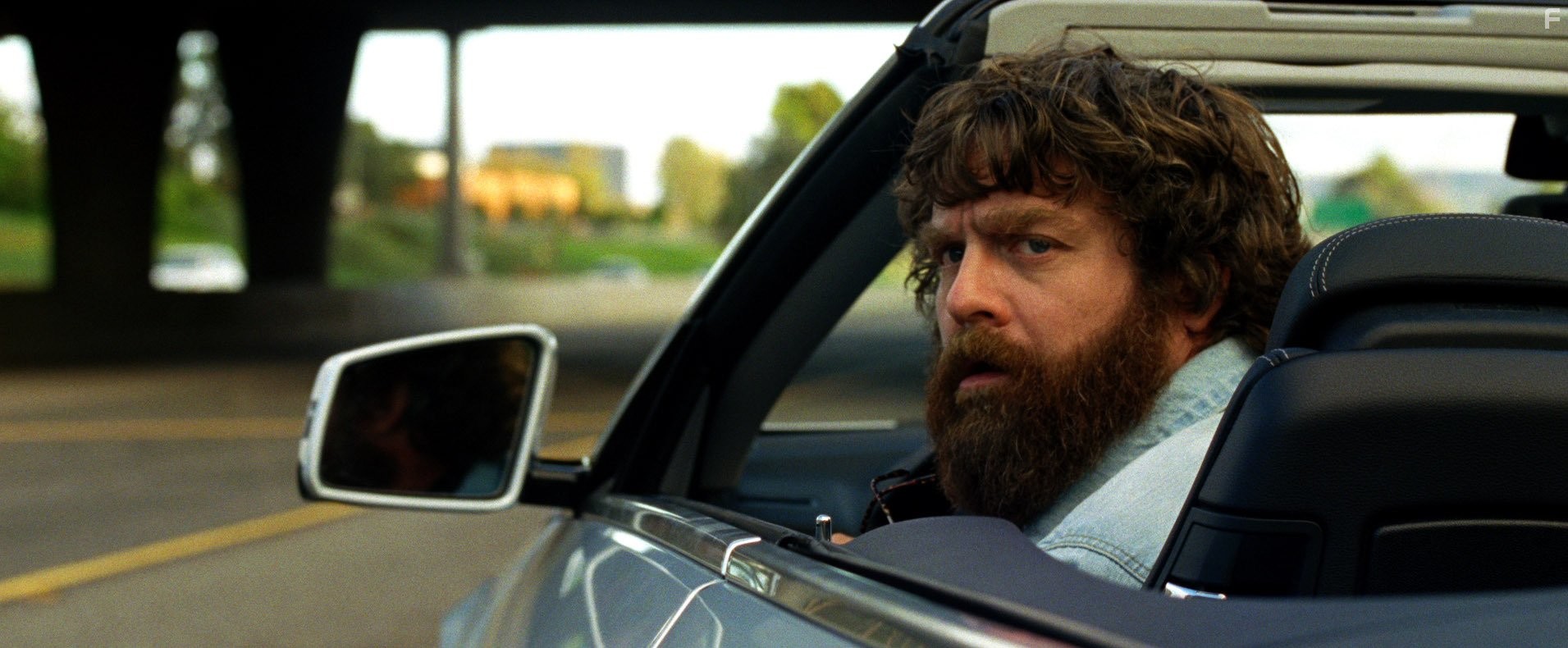 Zach Galifianakis in Мальчишник: Часть III (2013)