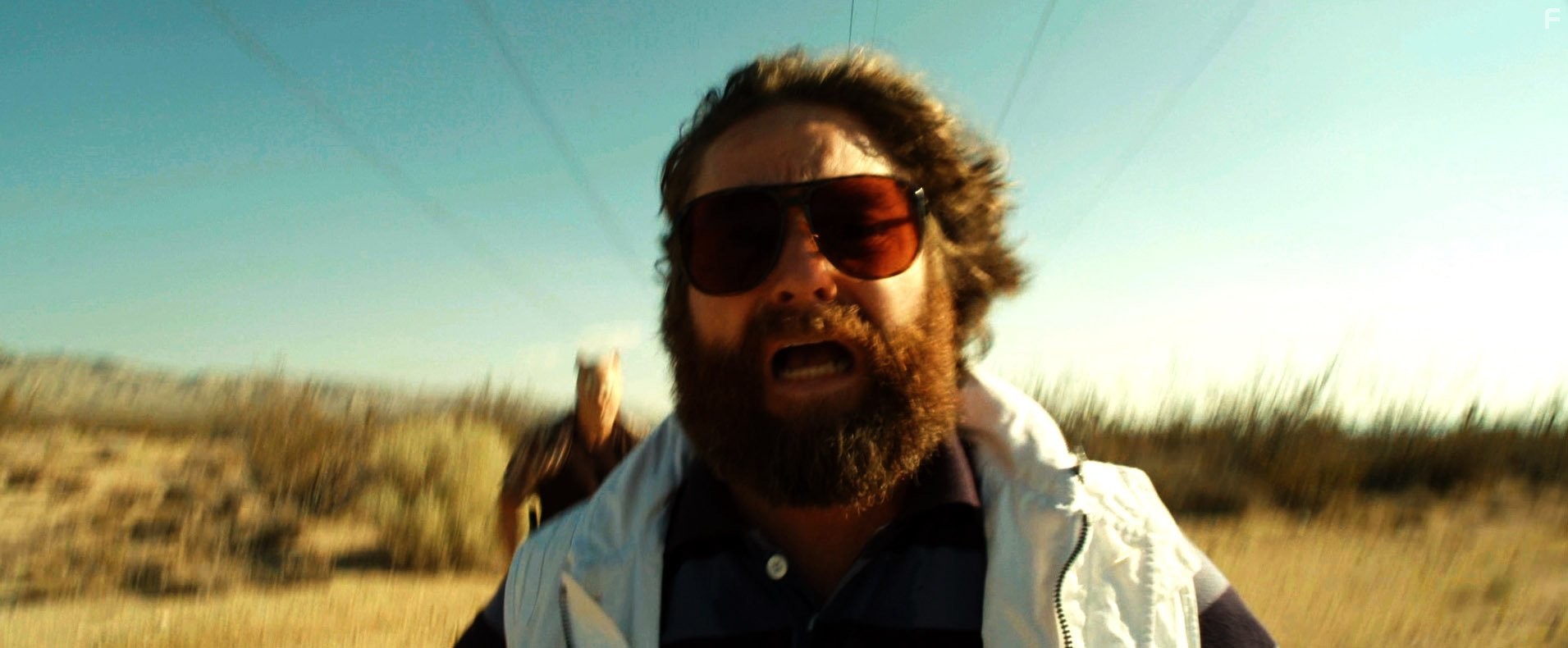 Zach Galifianakis in Мальчишник: Часть III (2013)