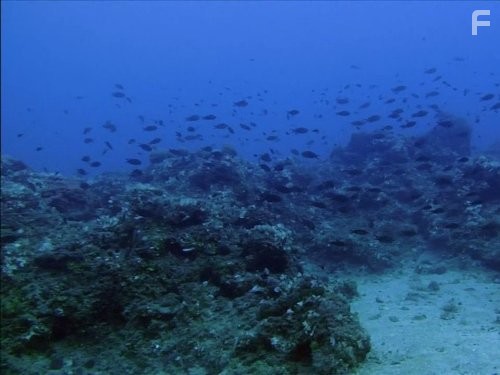 Solving History with Olly Steeds (2010)