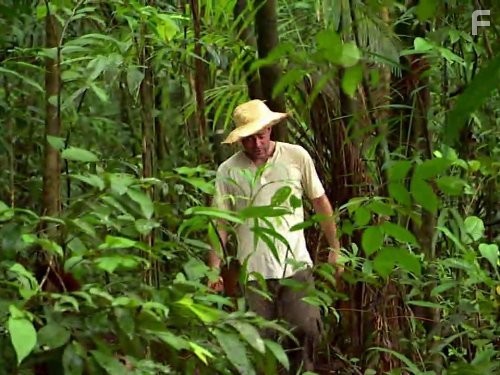 Solving History with Olly Steeds (2010)