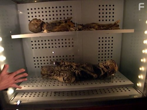 Solving History with Olly Steeds (2010)