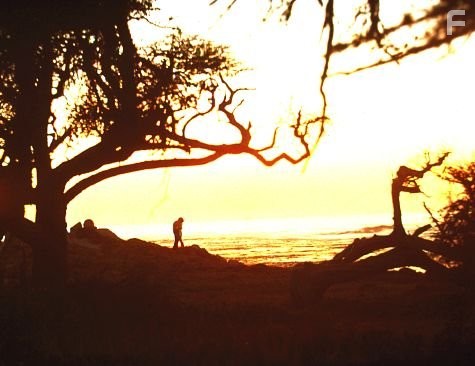 Сыграй мне перед смертью (1971)