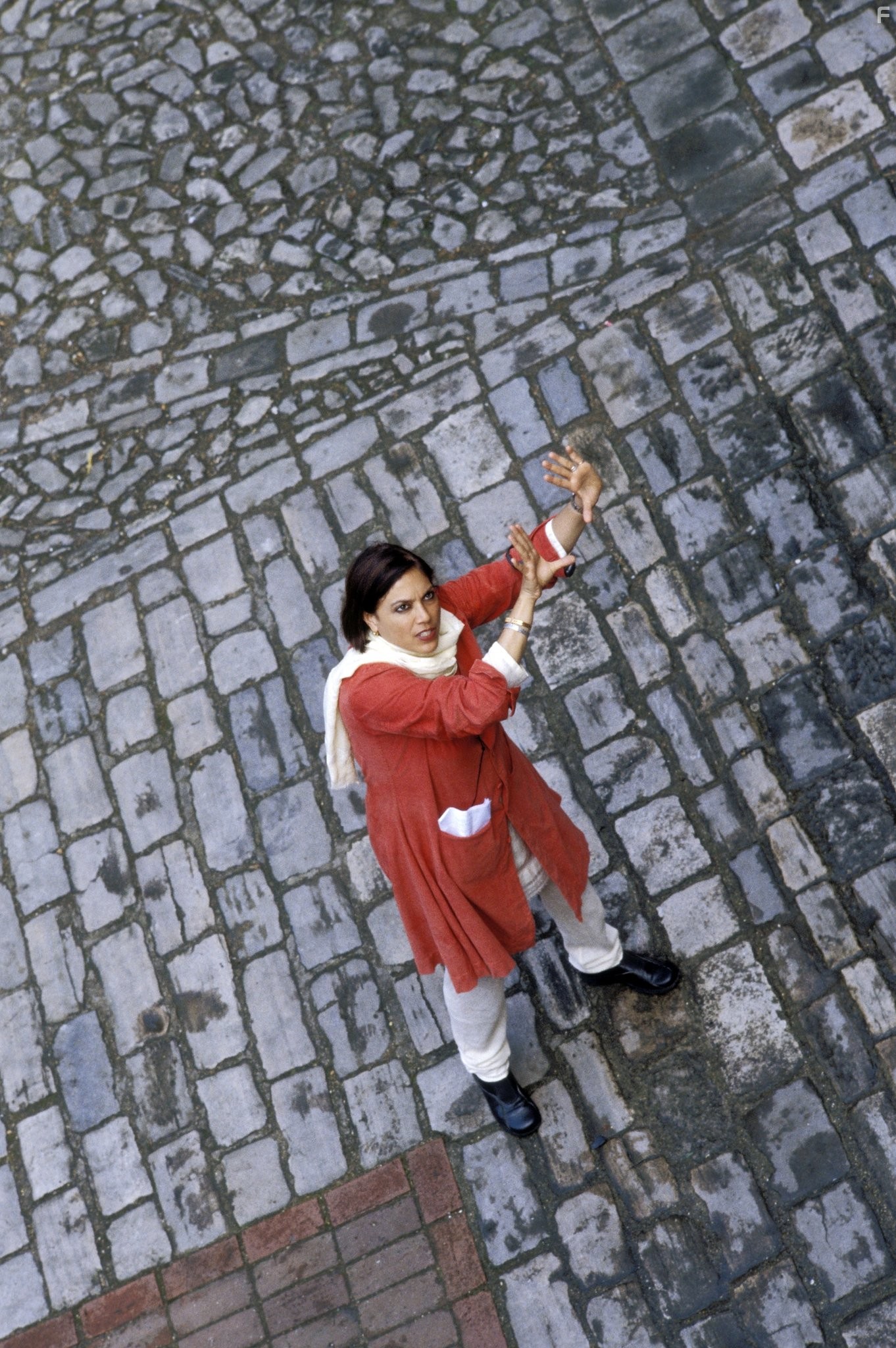 Mira Nair in Ярмарка тщеславия (2004)