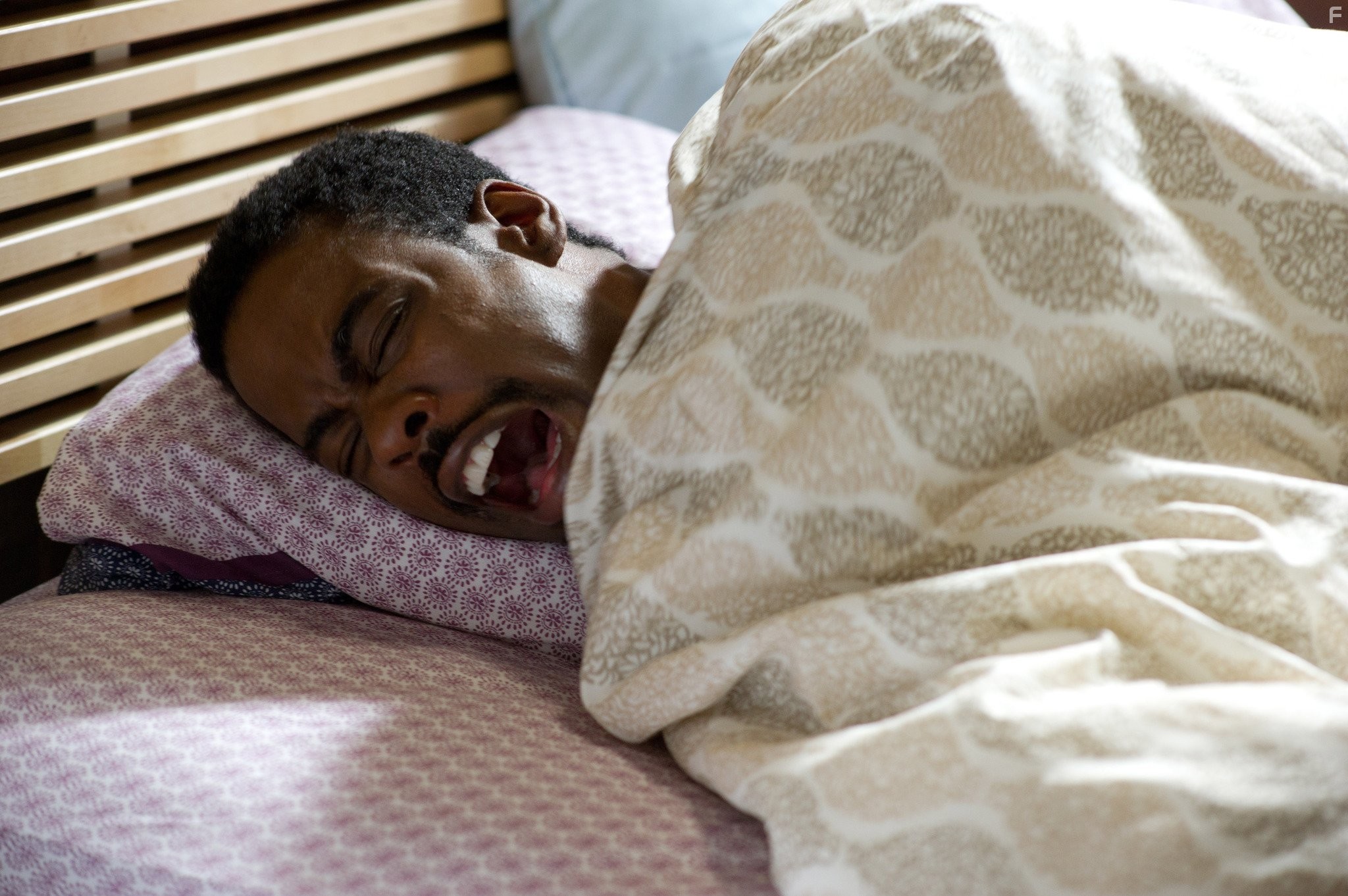 Chris Rock in 2 дня в Нью-Йорке (2012)