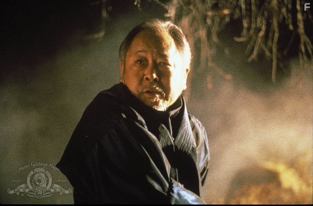 Victor Wong in Три ниндзя (1992)