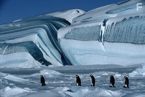 Птицы - 2: Путешествие на край света (2005)