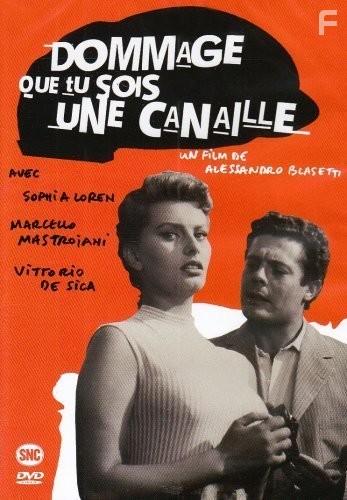 Peccato che sia una canaglia (1954)