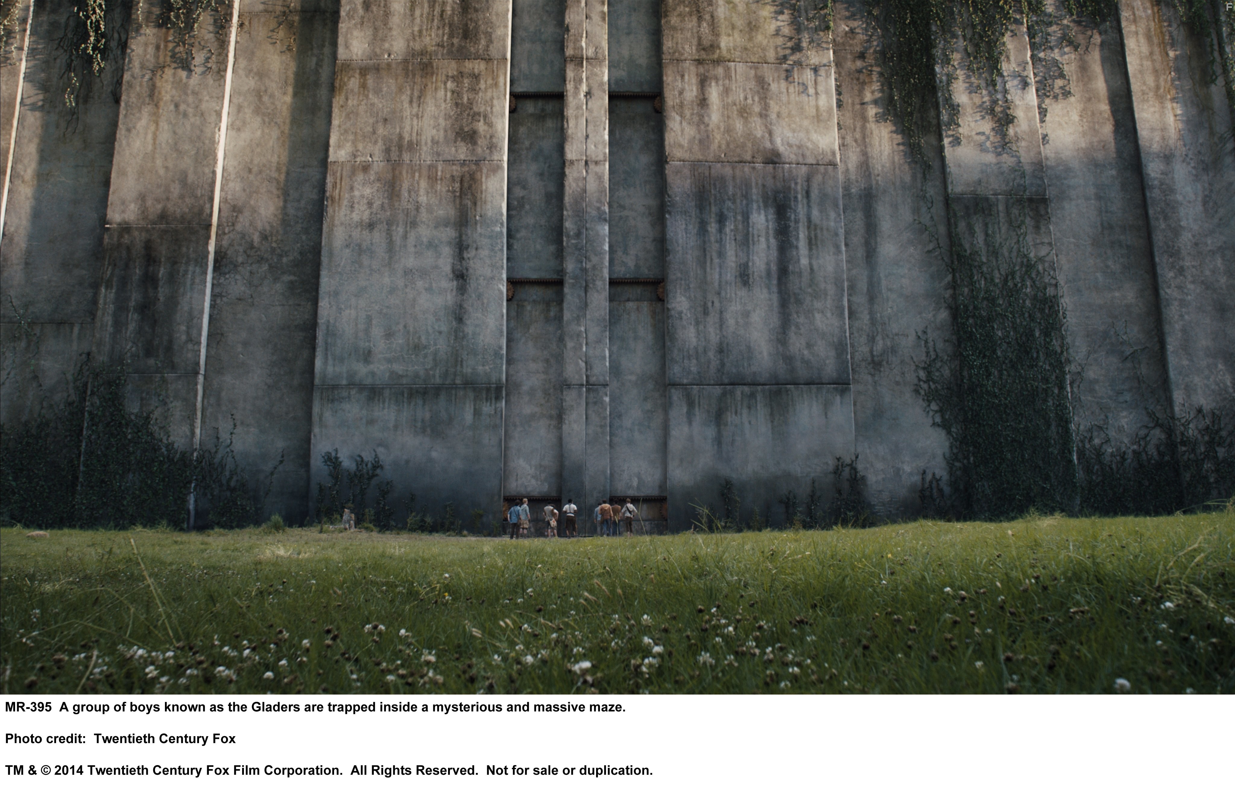 Бегущий в лабиринте (2014)