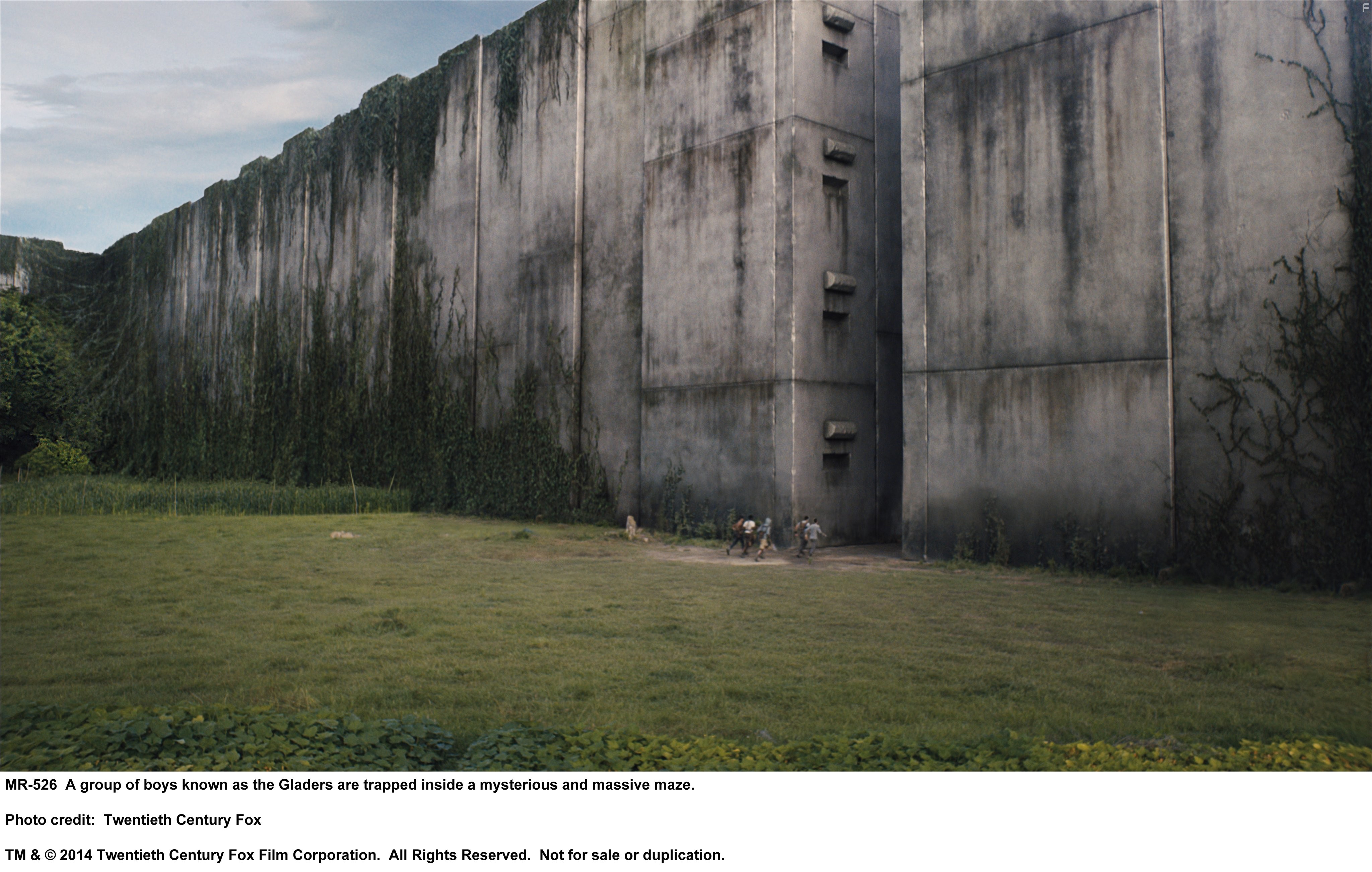 Бегущий в лабиринте (2014)