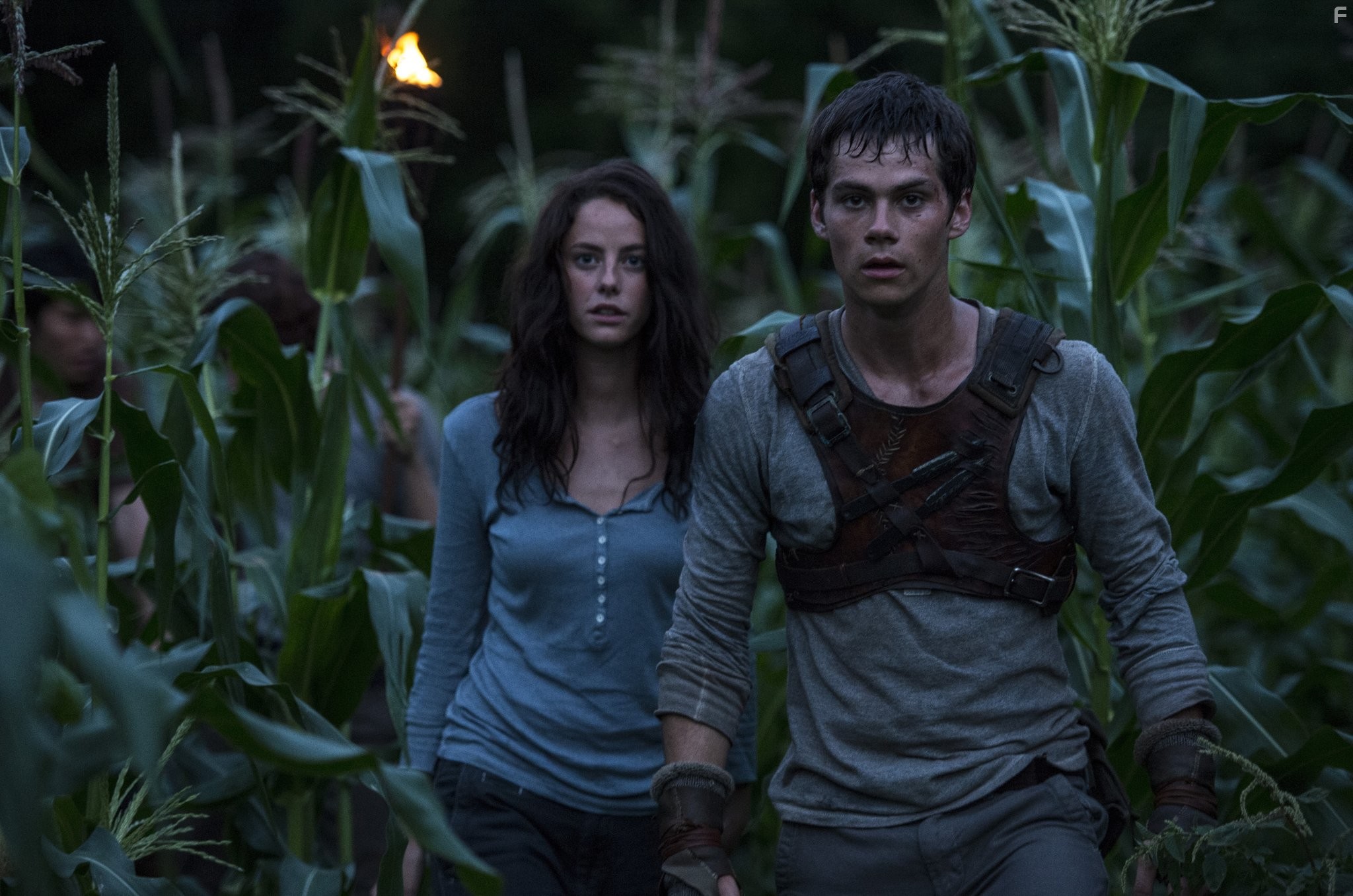 Kaya Scodelario and Dylan O'Brien in Бегущий в лабиринте (2014)