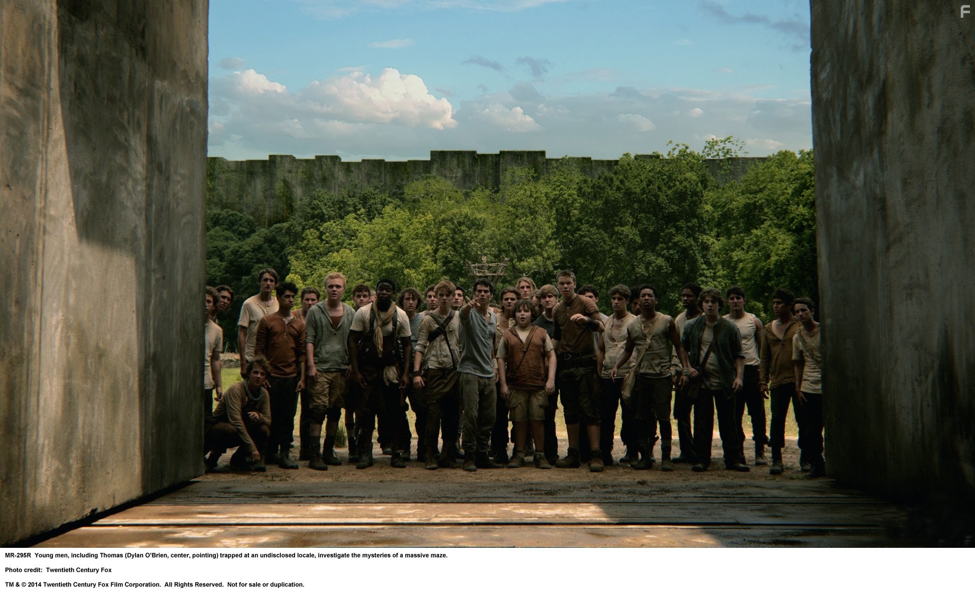 Thomas Brodie-Sangster, Will Poulter, Dylan O'Brien, Ki Hong Lee, and Blake Cooper in Бегущий в лабиринте (2014)