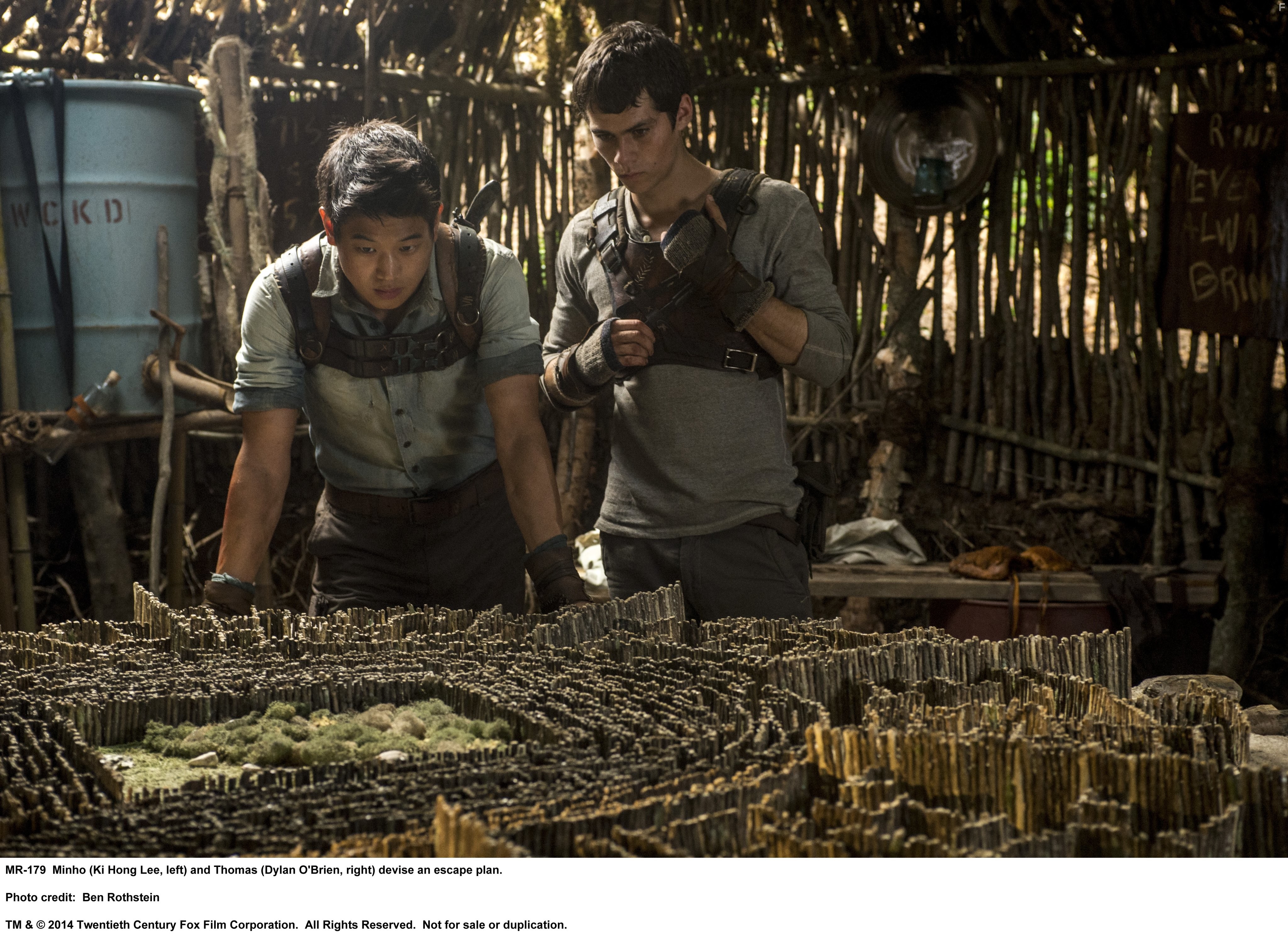 Dylan O'Brien and Ki Hong Lee in Бегущий в лабиринте (2014)