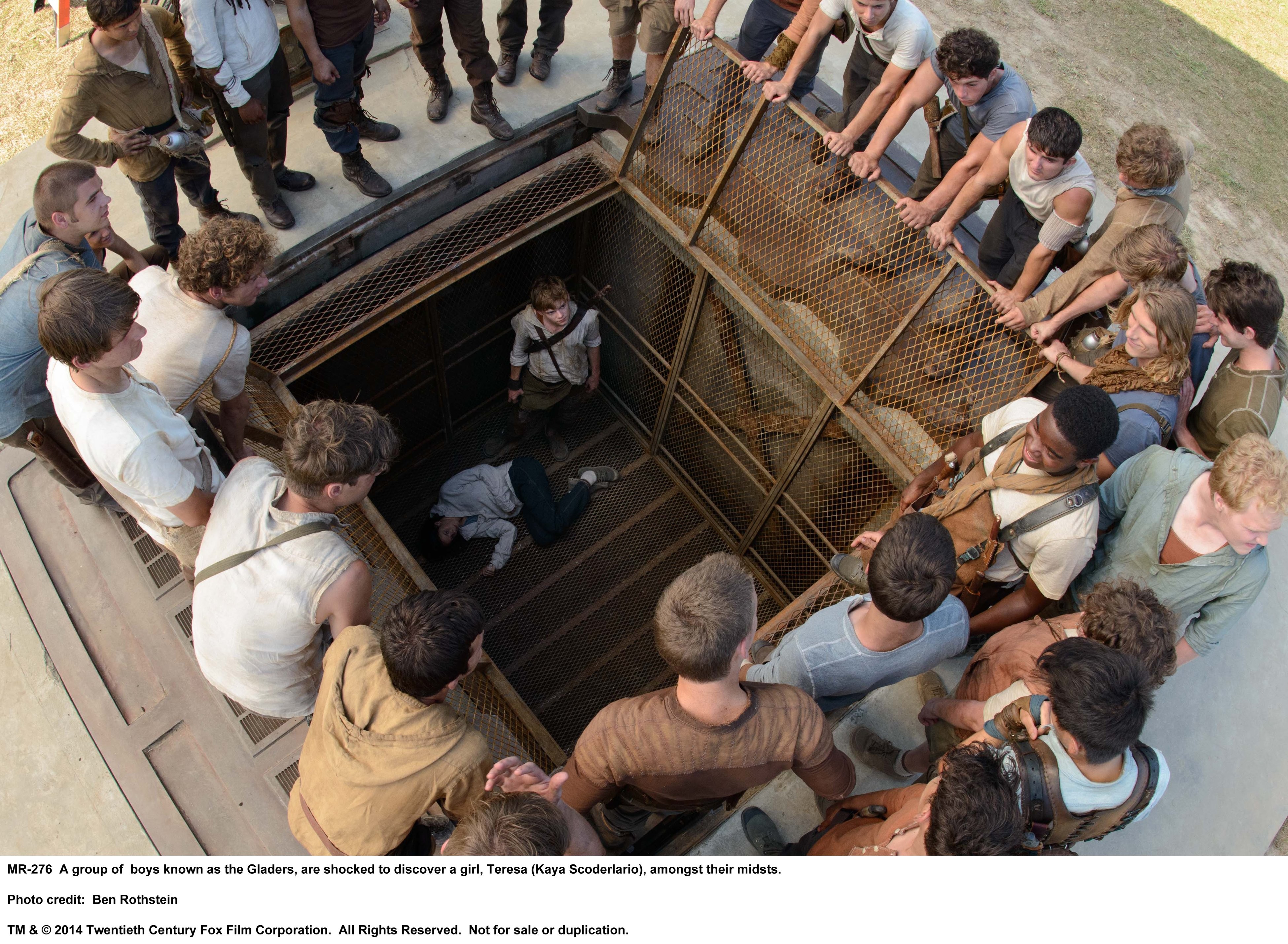 Бегущий в лабиринте (2014)