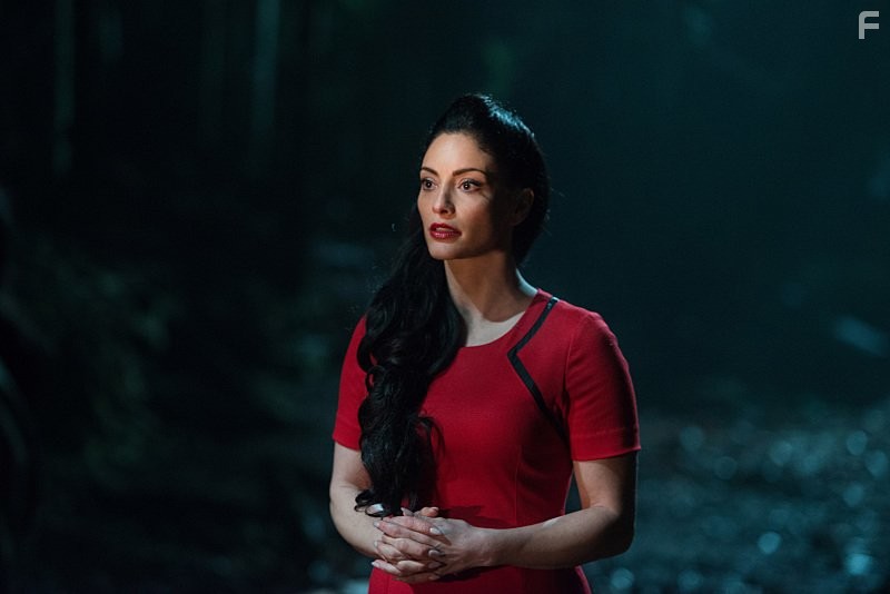 Erica Cerra in Сотня (2014)