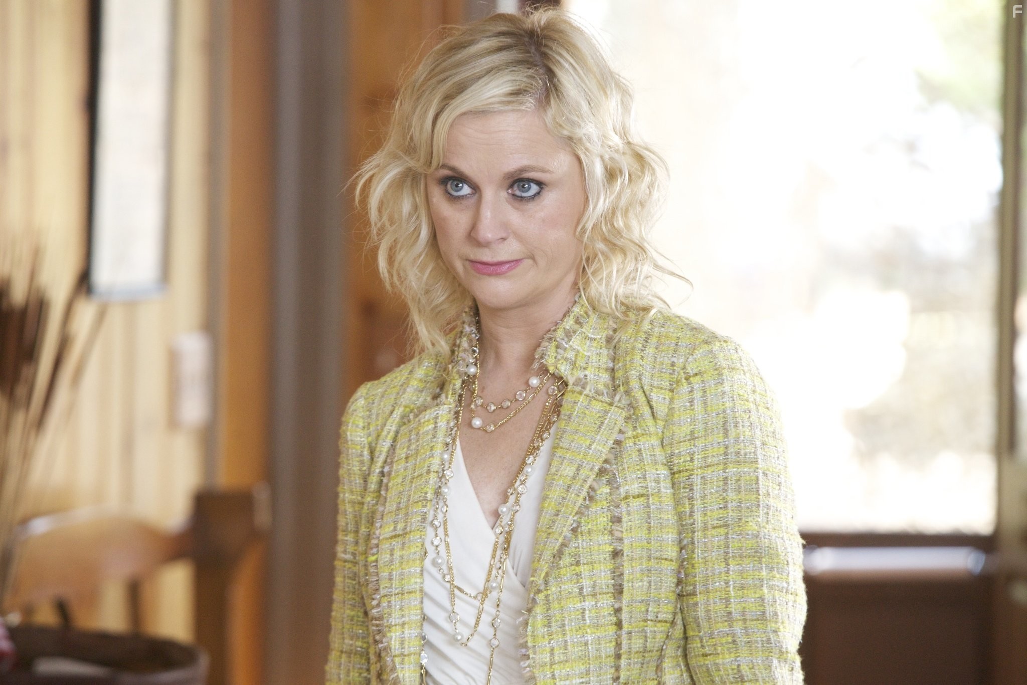 Amy Poehler in Взрослые дети развода (2013)