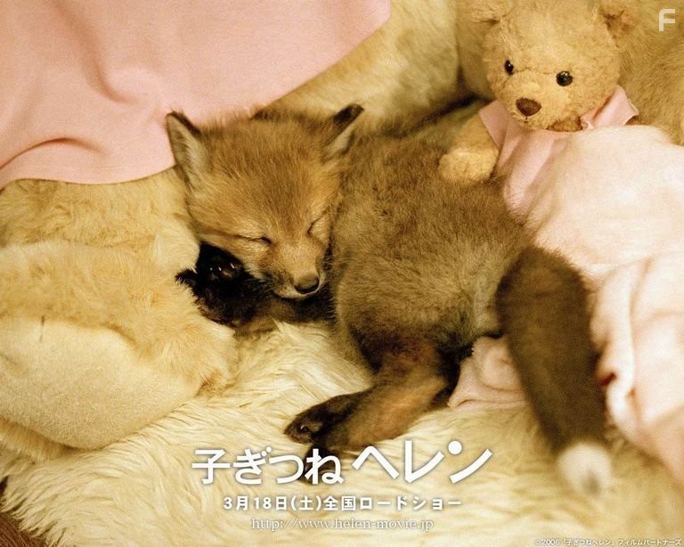 Лисичка Хэлен