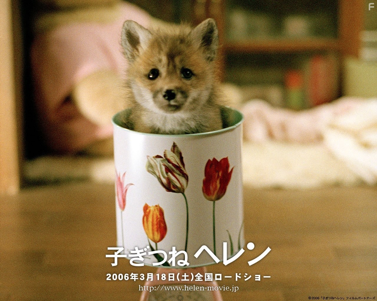 Kogitsune Heren (2006)