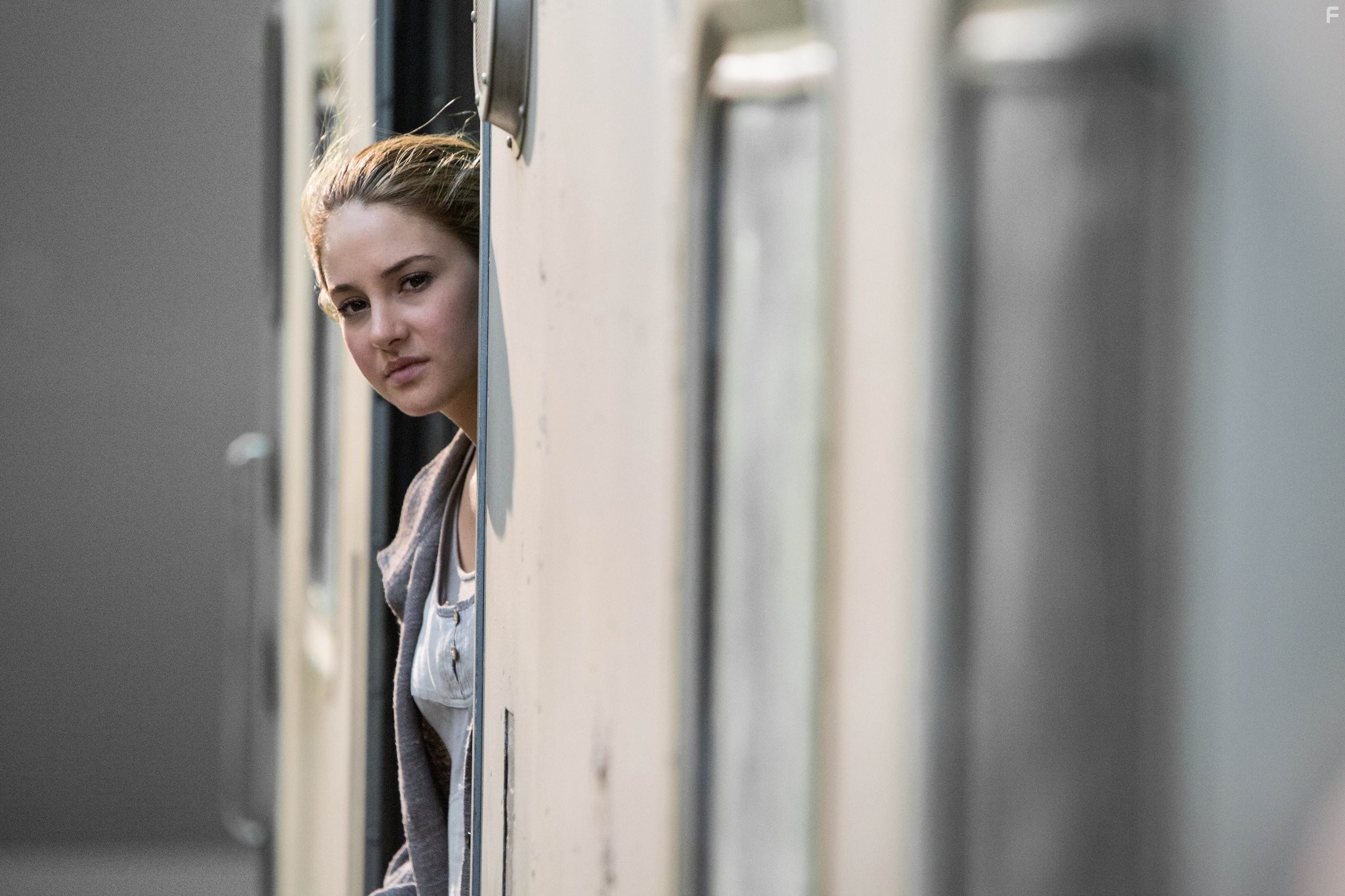 Shailene Woodley in Дивергент (2014)