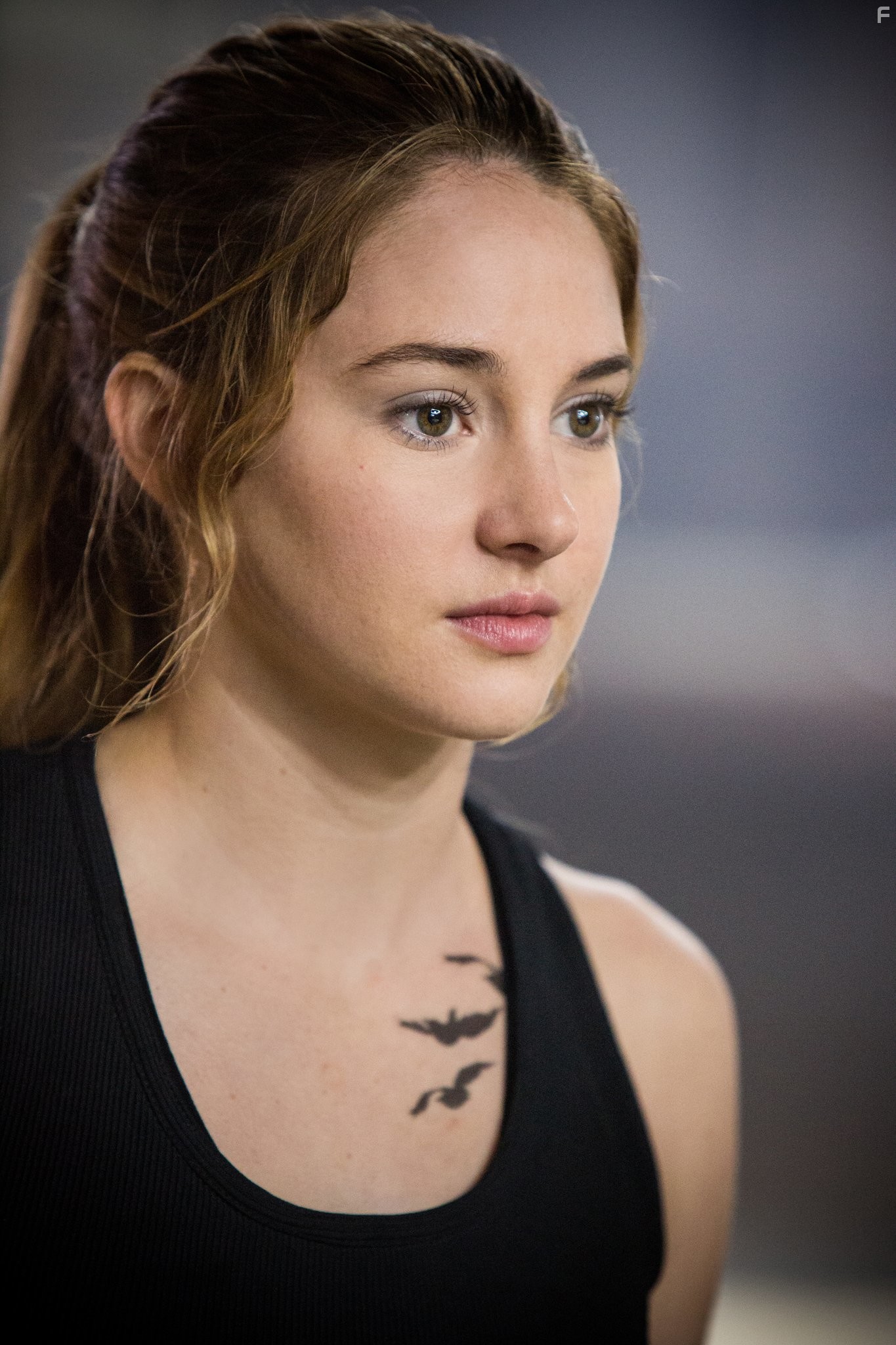 Shailene Woodley in Дивергент (2014)