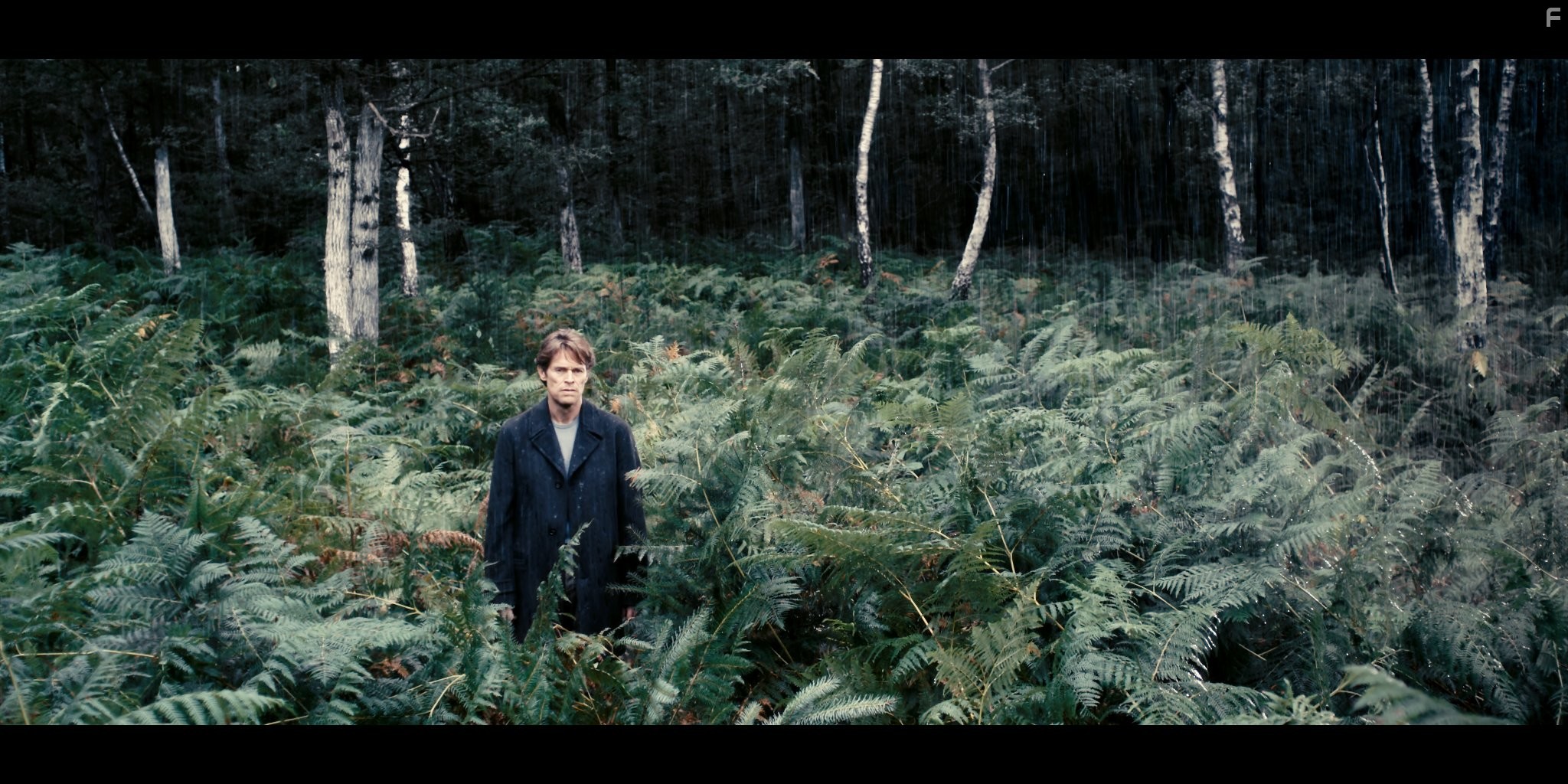 Willem Dafoe in Антихрист (2009)