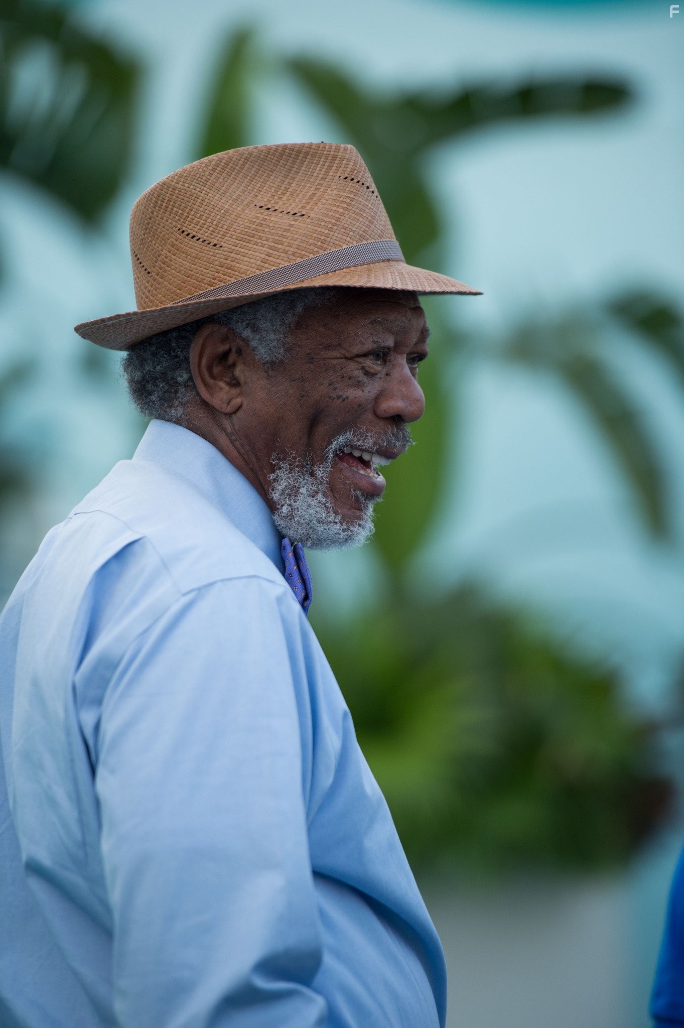 Morgan Freeman in История дельфина 2 (2014)