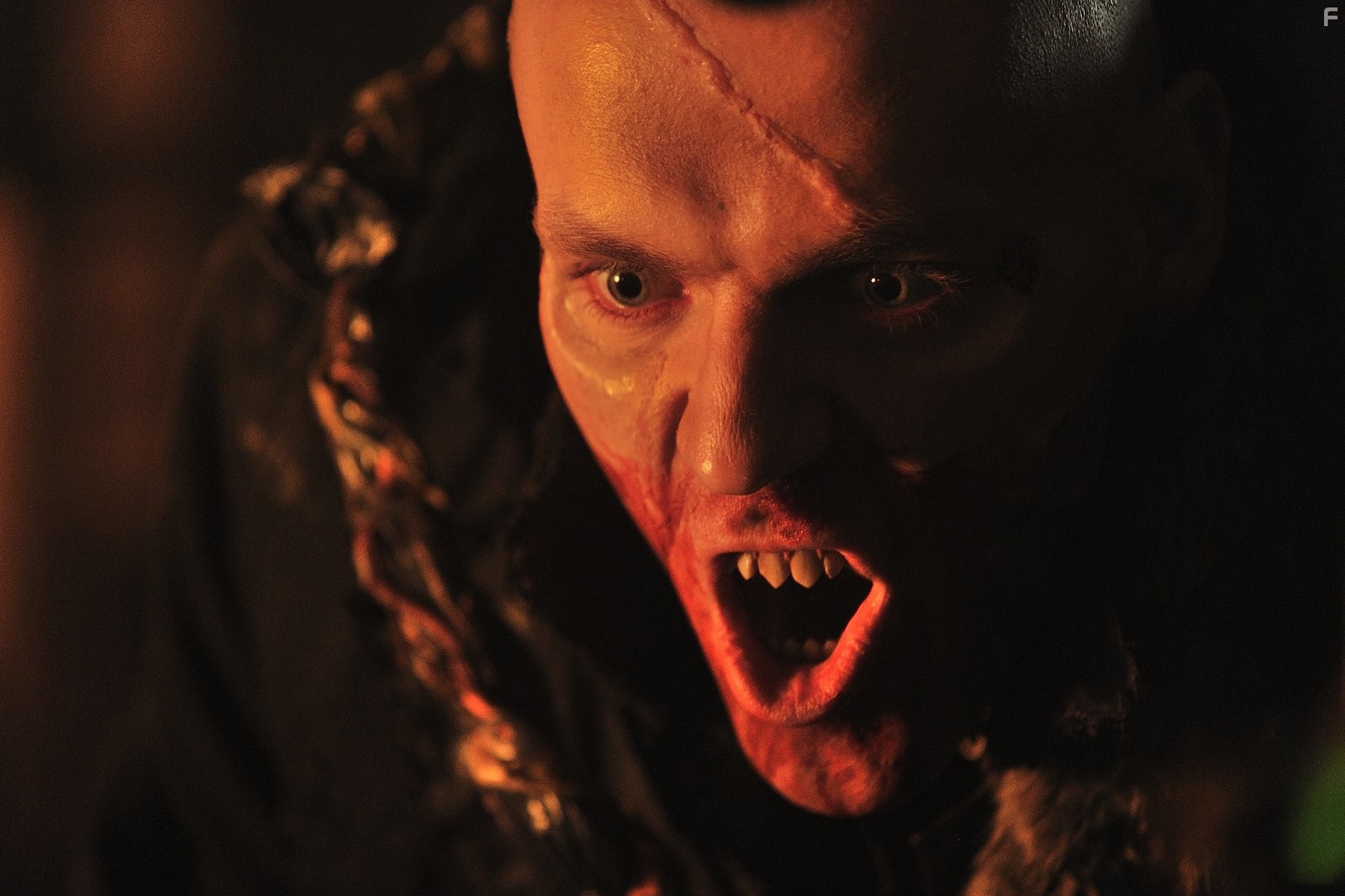 Dru Viergever in Колония (2013)