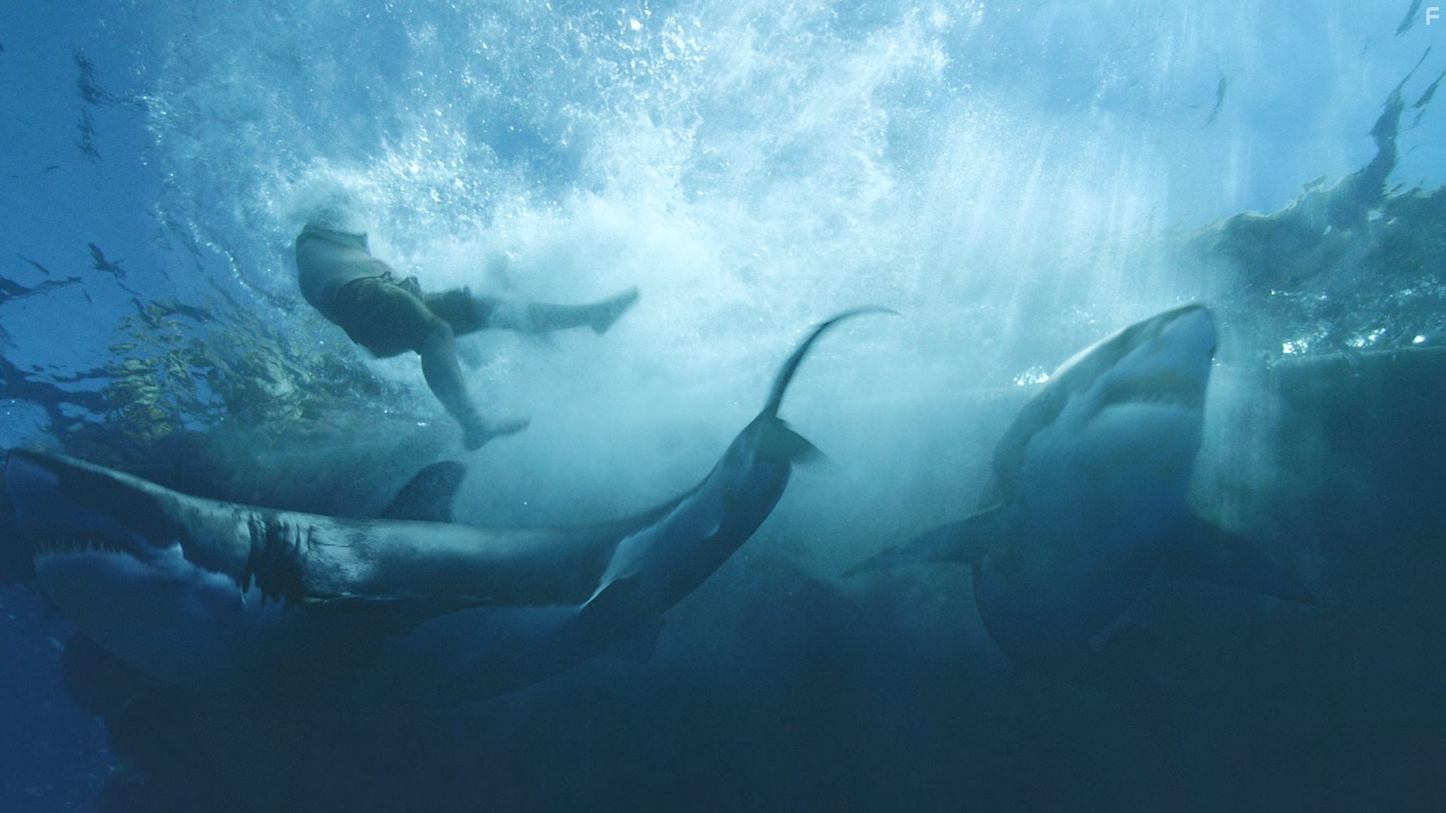 Кон-Тики (2012)