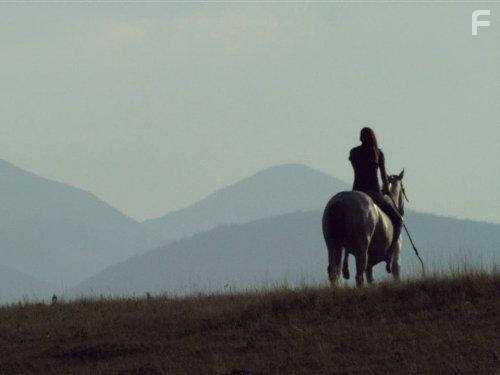 The Wild West (2013)