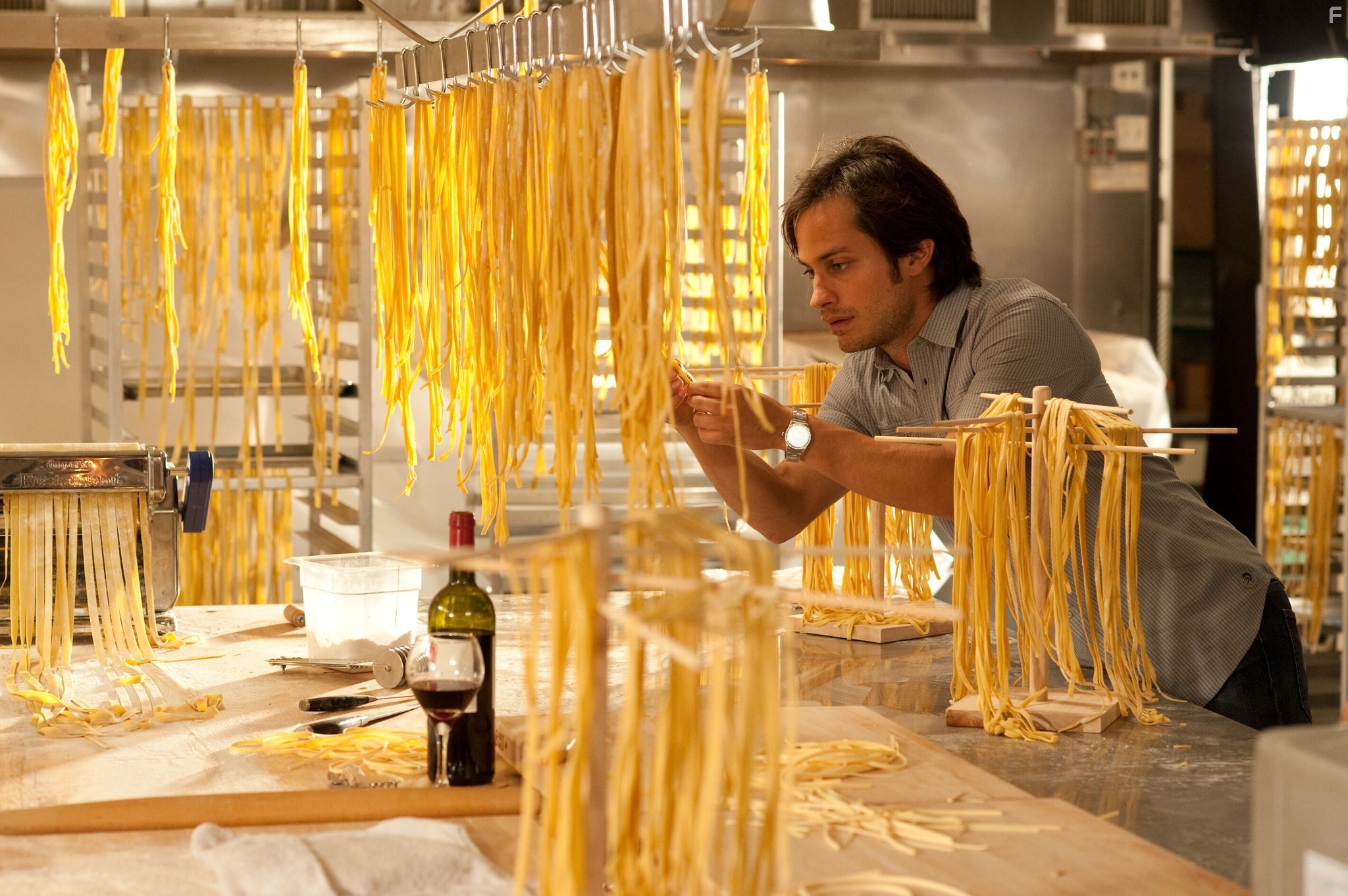 Gael Garc?a Bernal in Письма к Джульетте (2010)