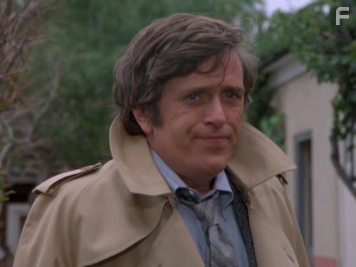 Jack Colvin in Невероятный Халк (1978)