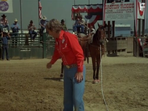 L.Q. Jones in Невероятный Халк (1978)