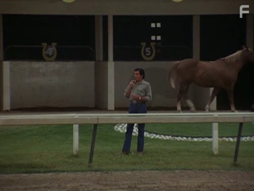 Невероятный Халк (1978)