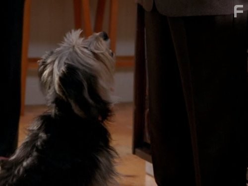 Дефективный детектив (2002)