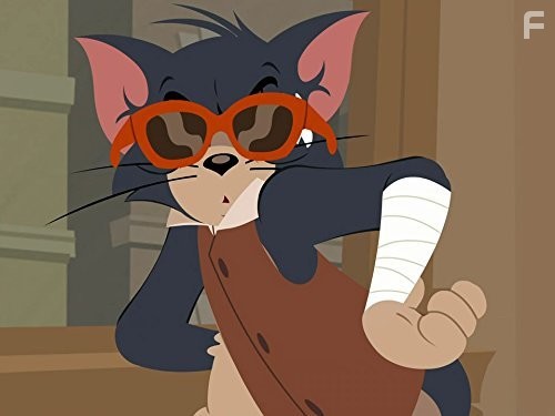 The Tom and Jerry Show (2014)