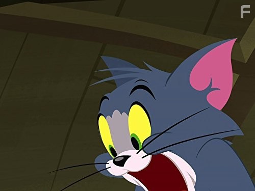 The Tom and Jerry Show (2014)